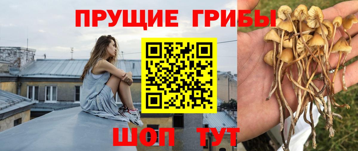 Галлюциногенные грибы Magic Shrooms Анжеро-Судженск