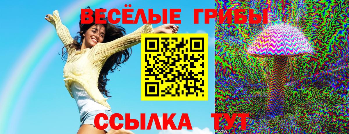 Лсд 25  Канабис  Вход с VPN  А ПВП СК кристаллы  ГАШ  Анжеро-Судженск  Гашиш  Меф  