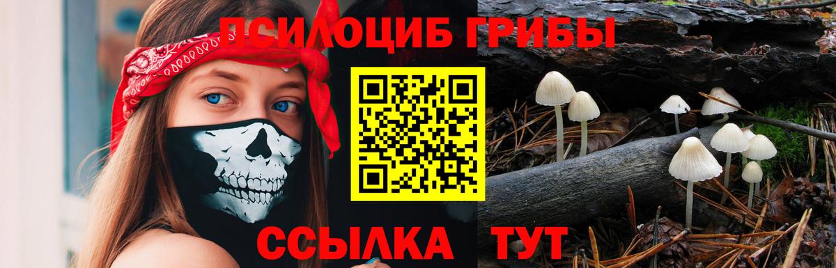 Анжеро-Судженск  Псилоцибиновые грибы мухоморы  Вход с VPN 